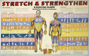 Click here to see a larger image of the Stretch and Strengthen Poster.