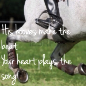 For those of you who know the bond between a horse and rider ♥