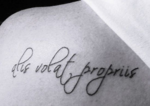 she flies with her own wings | http://awesometattoophotos.blogspot.com