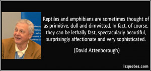 Reptiles and amphibians are sometimes thought of as primitive, dull ...