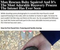 Man Rescues Baby Squirrel And It's The Most Adorable Recovery Process ...