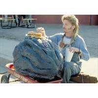 joe dirt quotes posts 33340 from held hostage by fayetteville ...