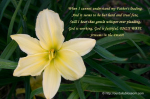... , God is working, God is faithful, ONLY WAIT. ~ Streams in the Desert