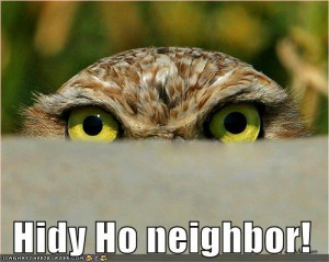 funny-pictures-owl-eyes-fence1.jpg#owl%20funny%20%20499x399