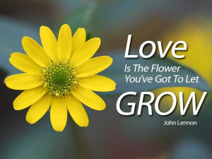 Love is the flower you’ve got to let grow. – John Lennon