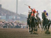 Seabiscuit ahead (shot at Santa Anita)