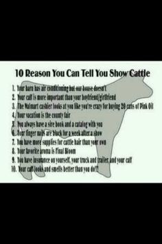 Show Cattle Quotes 3ccf8177375800cbef2f0dbe707904 ...