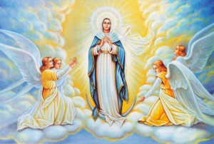 Assumption Of Mary Bible Quotes St Mary Of The Assumption Catholic ...