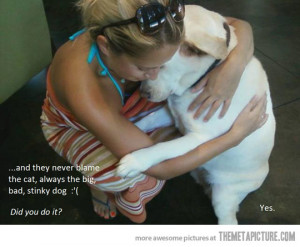 Funny photos funny dog hugging owner girl