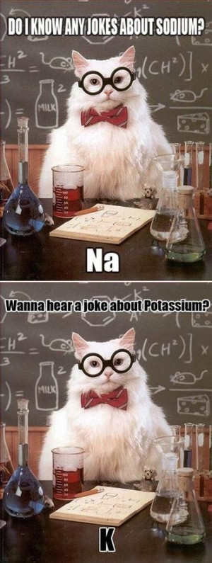 cat chemistry jokes :)