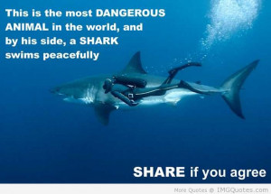 : [url=http://www.imagesbuddy.com/this-is-the-most-dangerous-animal ...