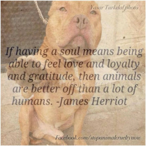 agree..... James Herriot
