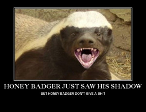 Honey Badger Saw His Shadow