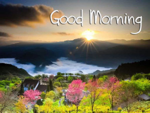 beautiful good morning wallpaper good morning wishes hd wallpapers for ...