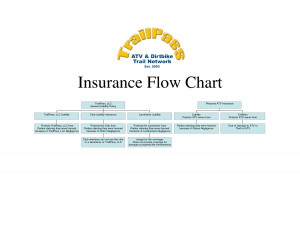 Insurance Flow Chart - PDF by mnr16959