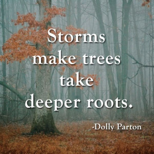 make trees take deeper roots thank you for making our roots dig deeper ...