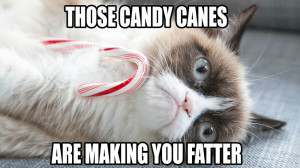 Crappy Holidays From Grumpy Cat!