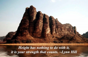 inspirational quotes, well… inspire you. Motivate you. And help you ...