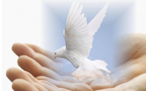 Peace & Love Revolution Club Dove of Peace