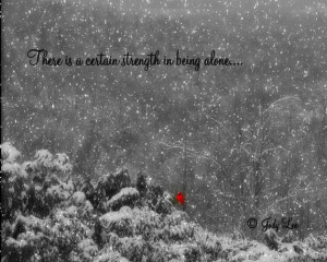 Cardinal Photograph Being Alone Inspirational Quote