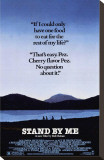 Stand by Me – Das Geheimnis eines Sommers auf IMDB. After the death ...
