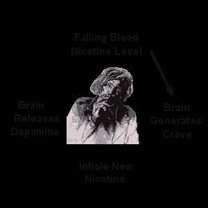 Nicotine's mandatory cycle of replenishment