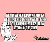 ... ?! What Is This Shit You Call Homework?! I Know Nothing Of The Sort