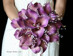 Plum Calla Lily Collection