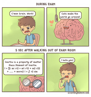 funny-picture-accordingtodevin-comics-brain-exam