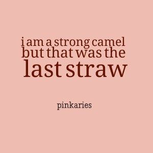 Quotes Picture: i am a strong camel but that was the last straw