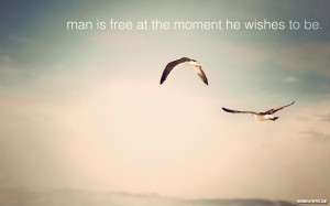 Man Is Free At The Moment He Wished To Be. ~ Birds Quote