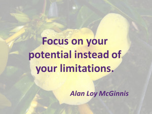 focus on your potential alan loy mcginnis