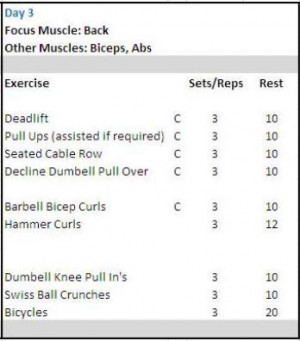 free-workout-plans-for...Weightlifting Routine For Beginners Ensures ...