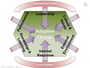 Embedding Adaptive Change | Leadership