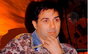 SuNnY dEoL wAlLpApErS