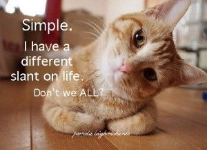 Cat Slant pamela quote