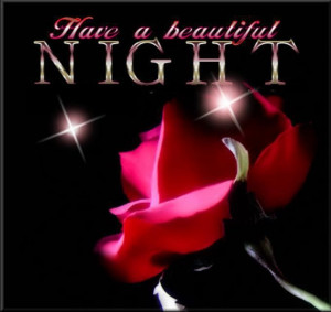 HAVE A BEAUTIFUL NIGHT:-)