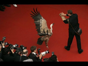 over the hedge full version