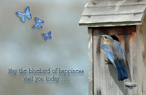 May the bluebird of happiness visit you today . . . by Bonnie T. Barry
