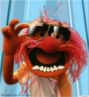 hands down my favorite muppet is animal he is an animal lol from his ...
