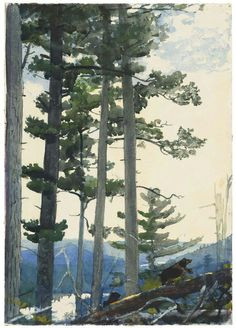 ... settlers american artists painting homer american winslow homer