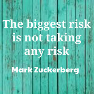 The biggest risk is not taking any risk - Mark Zuckerberg