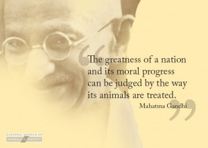 Gandhi Quotes Animals National museum of animals and