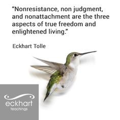 жизни non resistance non judgment and non attachment ...