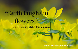 Earth laughs in flowers.”-Ralph Waldo Emerson