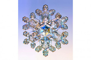 ... -inspiring. Nature, staggering in diversity & remarkable in precision