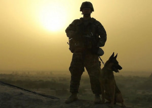 ... Glory Hounds” gives an up close look at Military Working Dog Teams