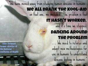 Quotes About Animal Testing