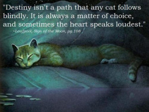 Warrior Cat Quotes Warrior Cats Quotes