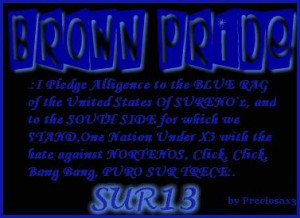 Brown Sureno Pride Image